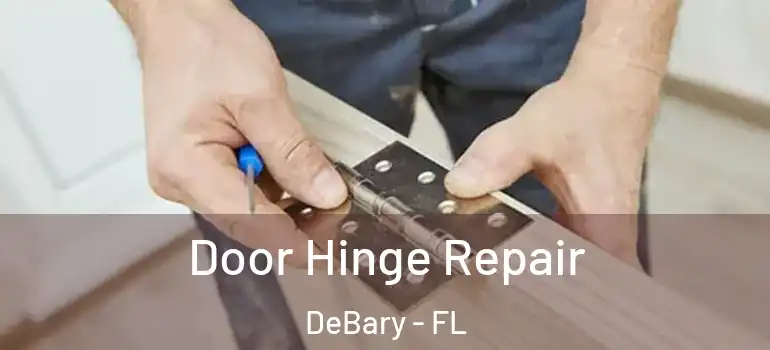  Door Hinge Repair DeBary - FL