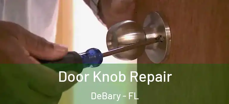  Door Knob Repair DeBary - FL