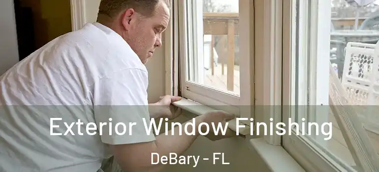  Exterior Window Finishing DeBary - FL
