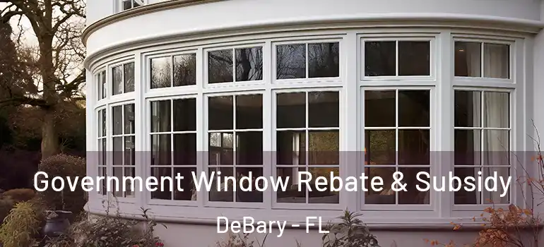  Government Window Rebate & Subsidy DeBary - FL
