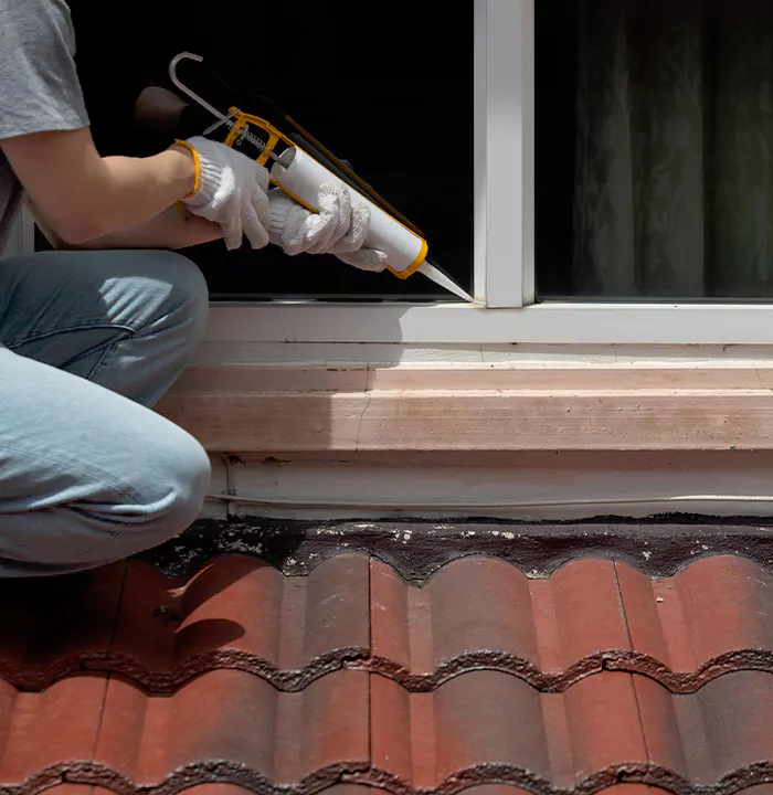Roof Window Services in DeBary, Florida
