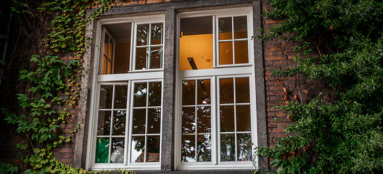 Energy Efficient Wood Windows in DeBary, FL