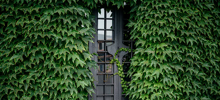 Garden Gate Repair in DeBary, FL