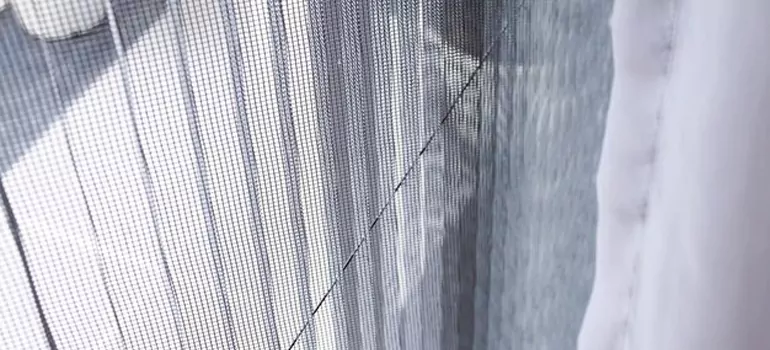 Fixing Screen Window Mesh in DeBary, FL