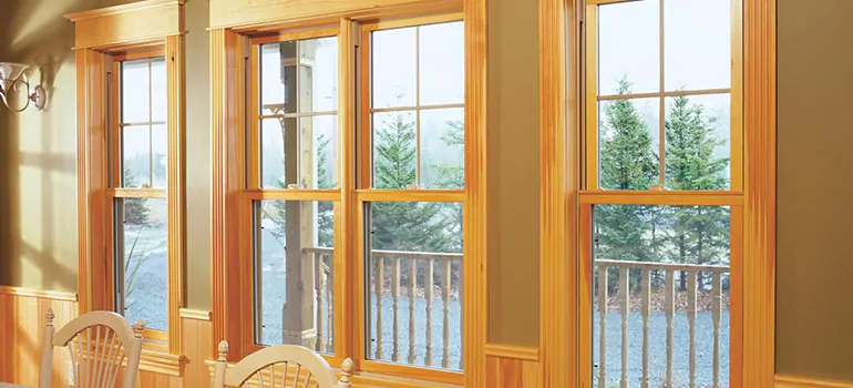 Government Incentives For Replacement Windows in DeBary, FL