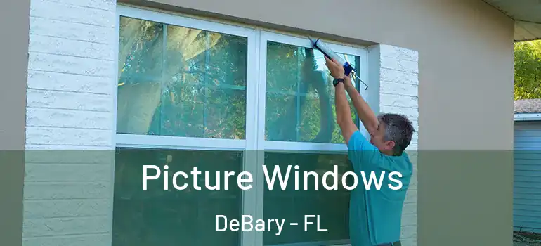  Picture Windows DeBary - FL