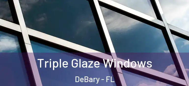  Triple Glaze Windows DeBary - FL